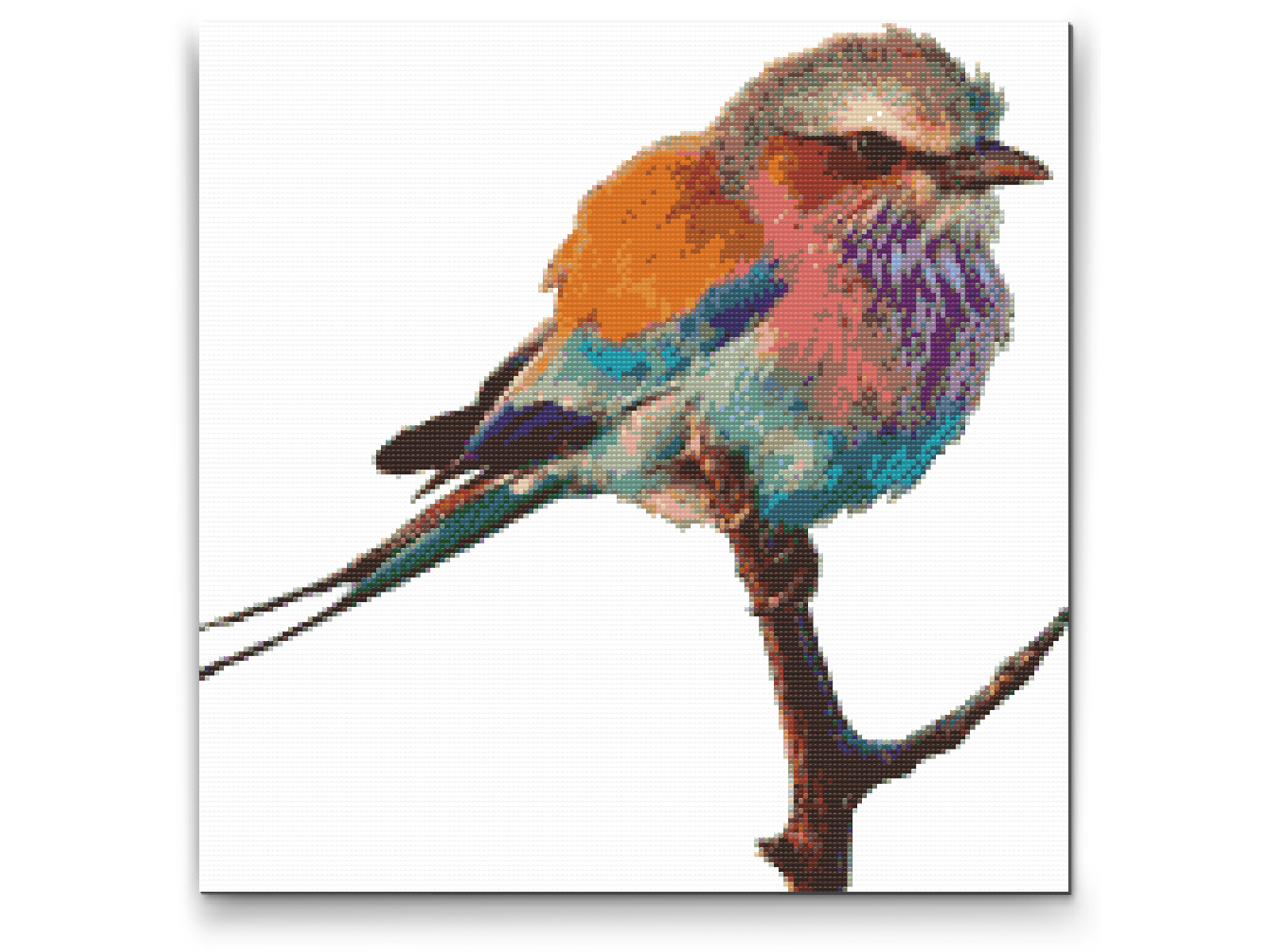 Diamond Paint - Fugl