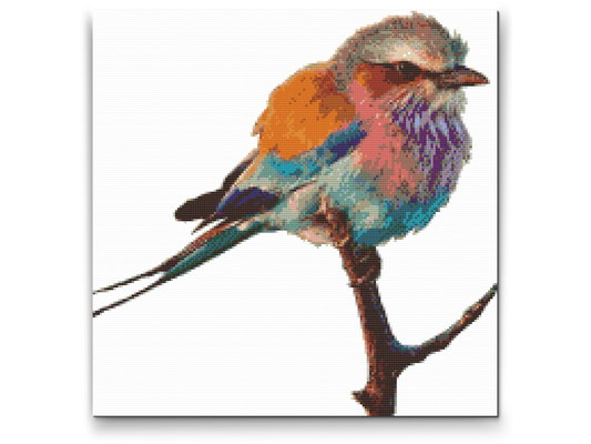 Diamond Paint - Fugl