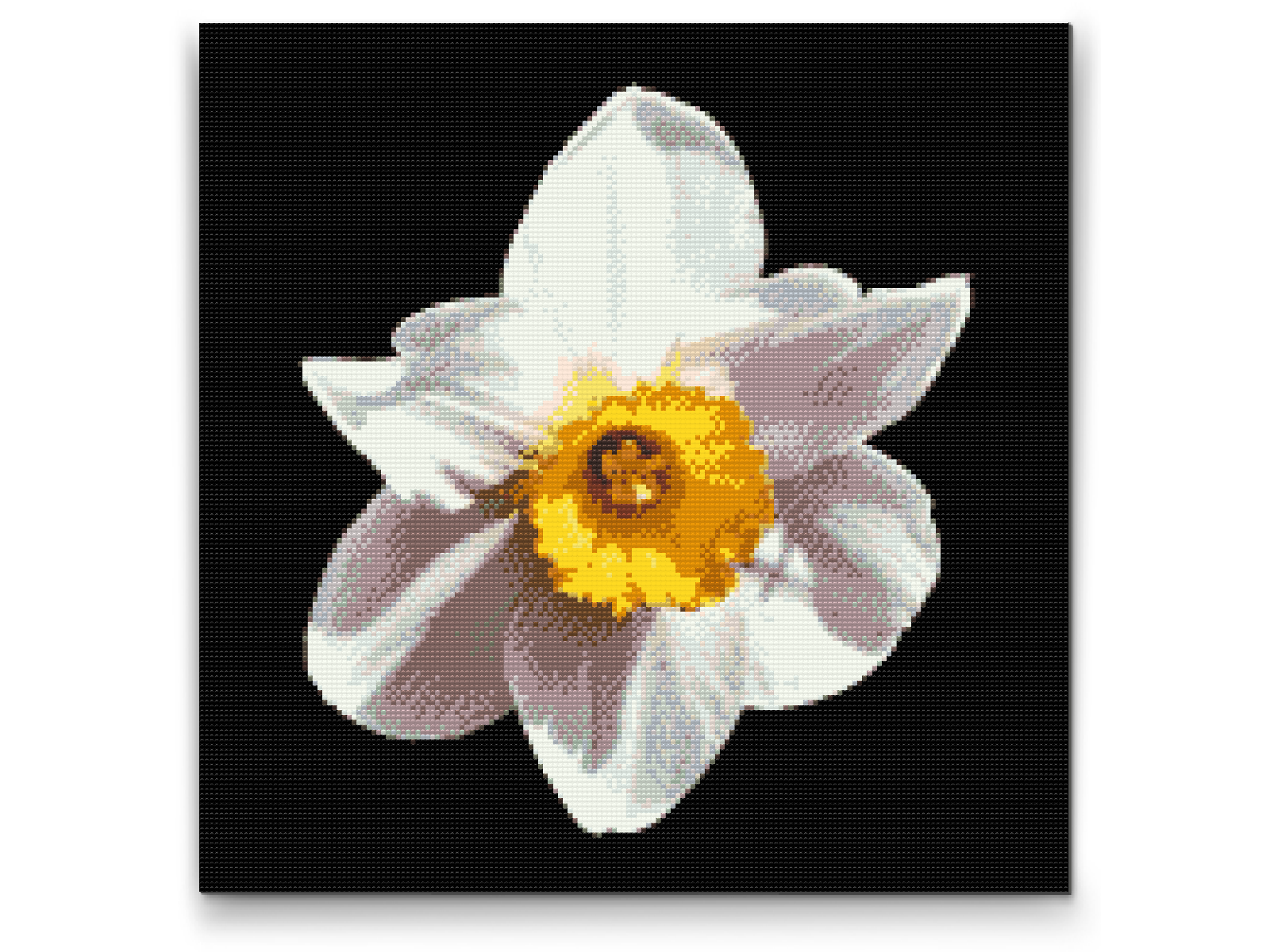 Diamond Paint - Narcissusblomst