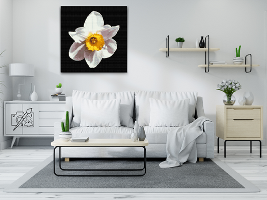 Diamond Paint - Narcissusblomst