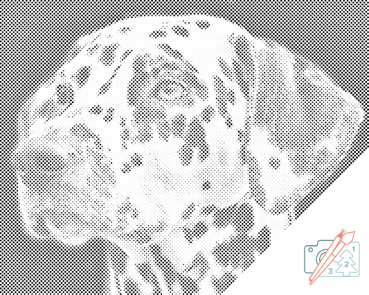 Dotting - Dalmatin