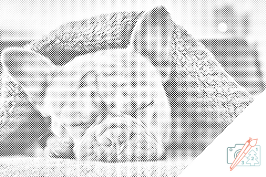 Dotting - Træt Bulldog