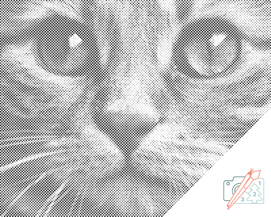 Dotting - Udsigt over Cat