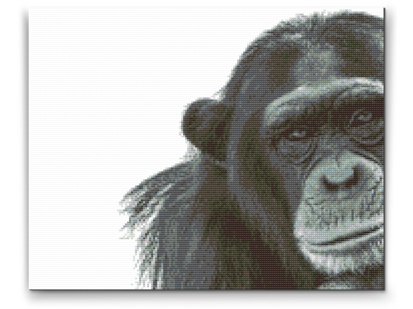 Diamond Paint - Chimpanse