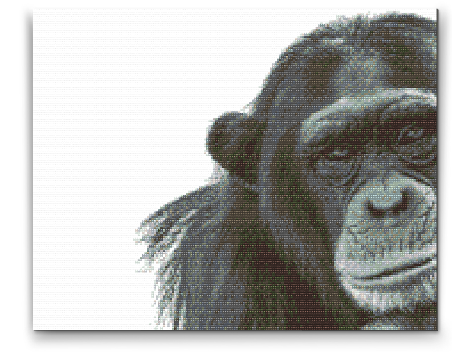 Diamond Paint - Chimpanse