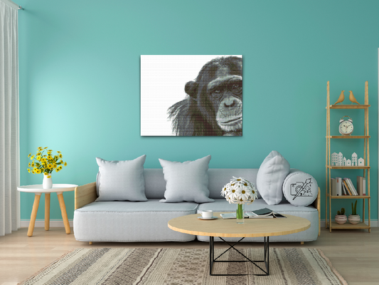 Diamond Paint - Chimpanse