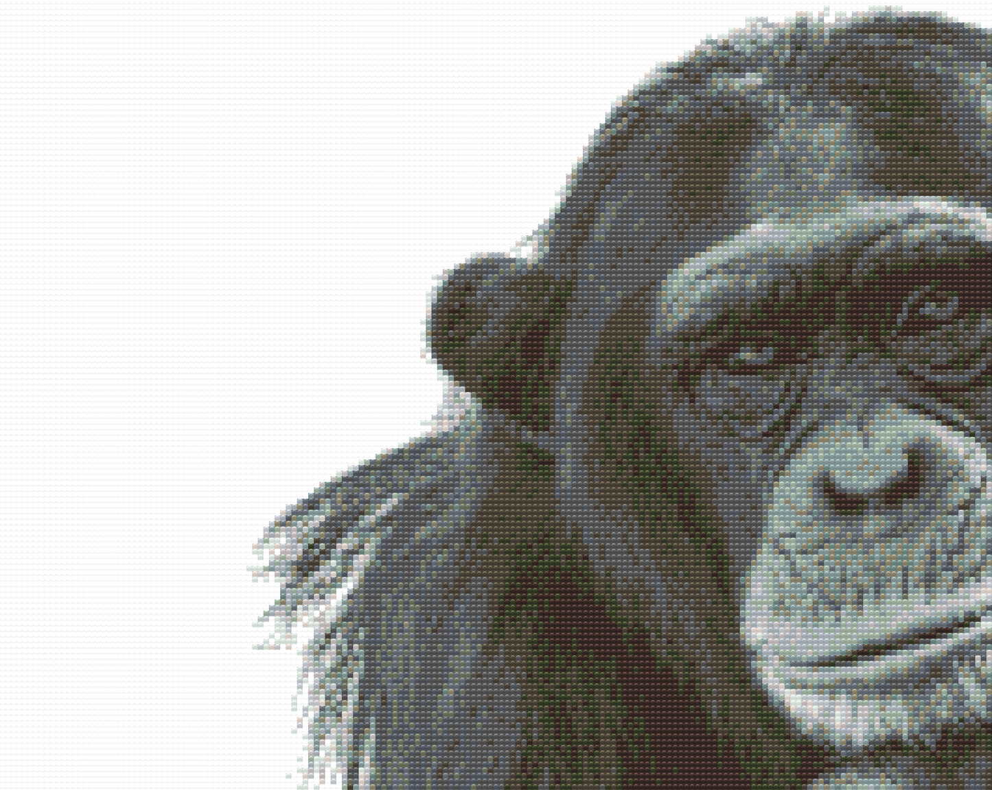 Diamond Paint - Chimpanse