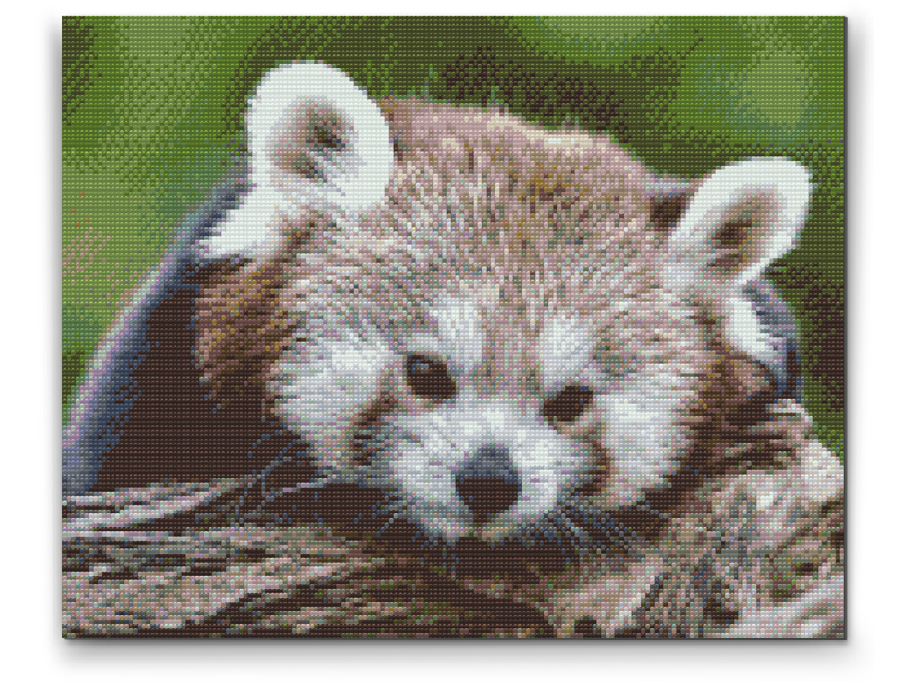 Diamond Paint - Red Panda
