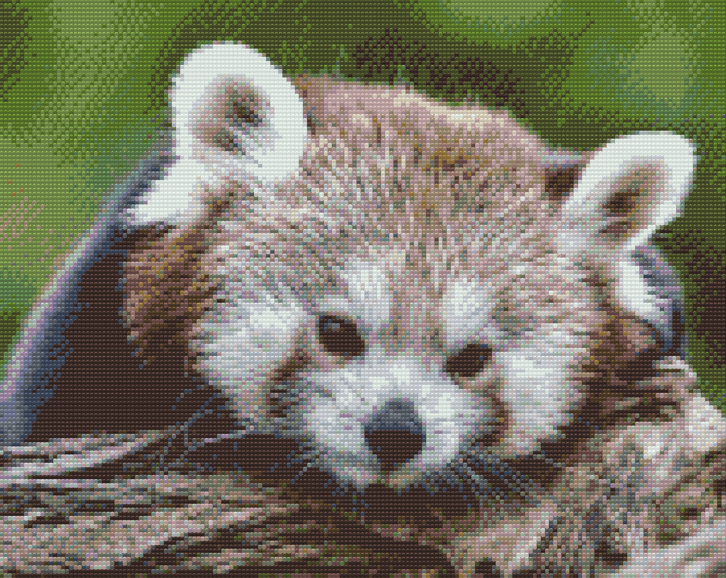 Diamond Paint - Red Panda