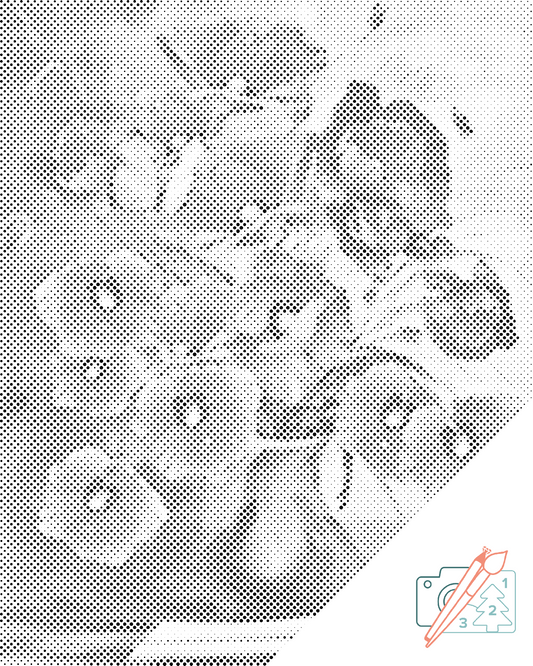 Dotting - Røde valmuer