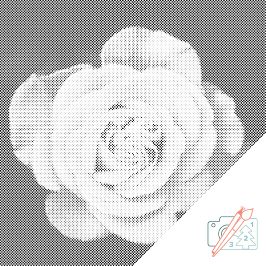 Dotting - Head of Rose