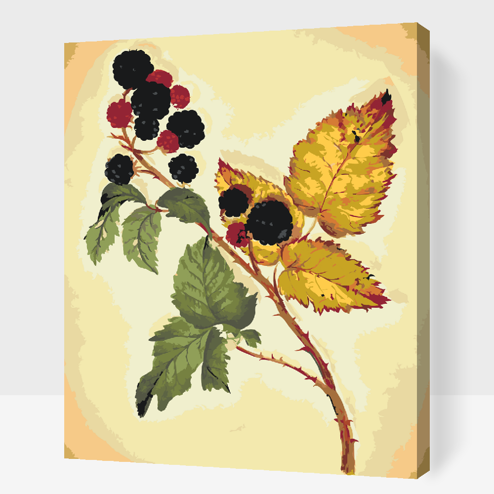 Paint by number - Vintage Blackberry