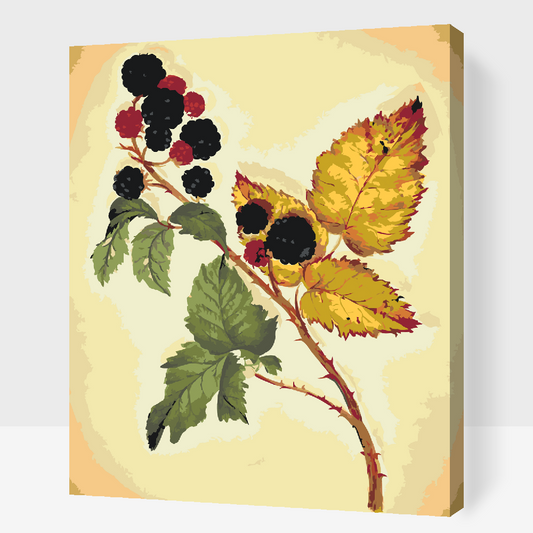 Paint by number - Vintage Blackberry