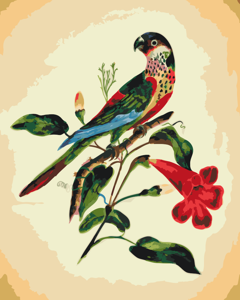Paint by number - Vintage Bird