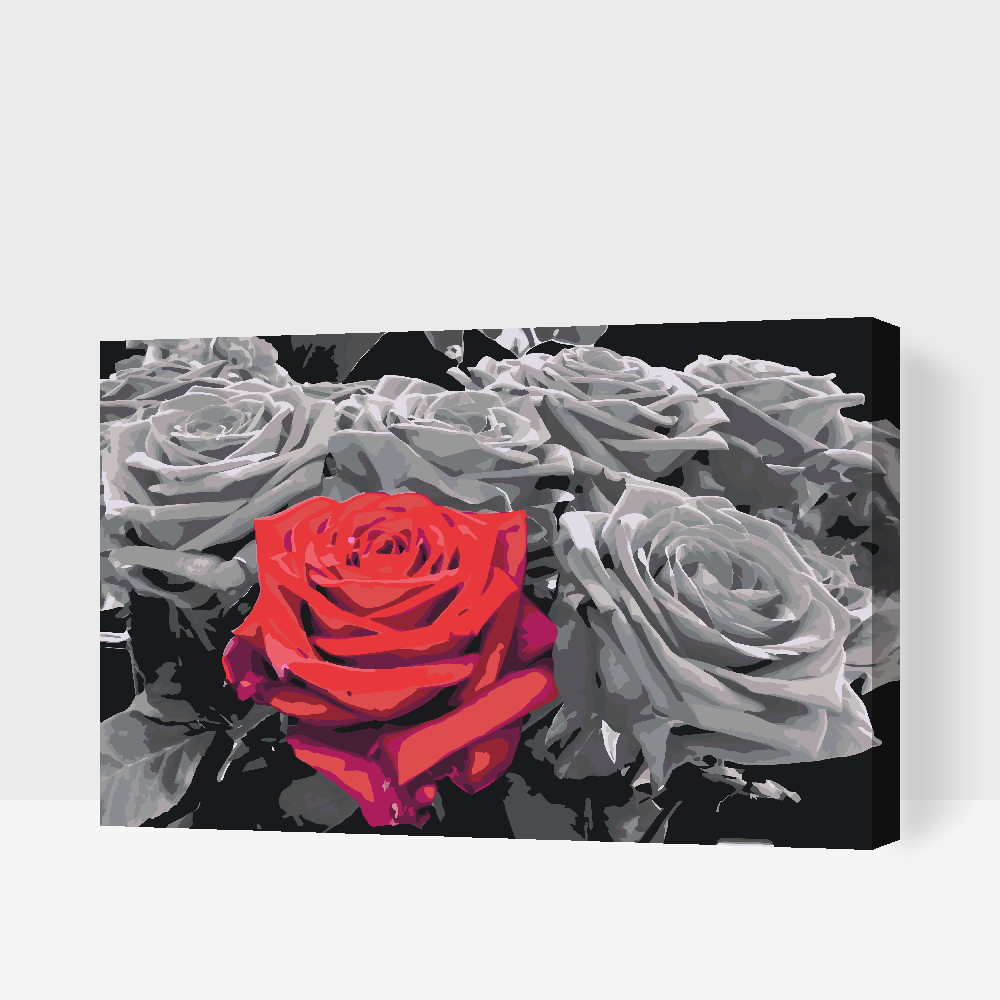 Paint by number - Rød blomst i buket