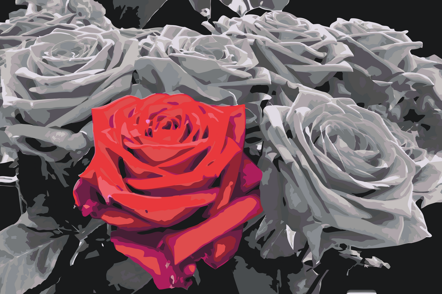 Paint by number - Rød blomst i buket