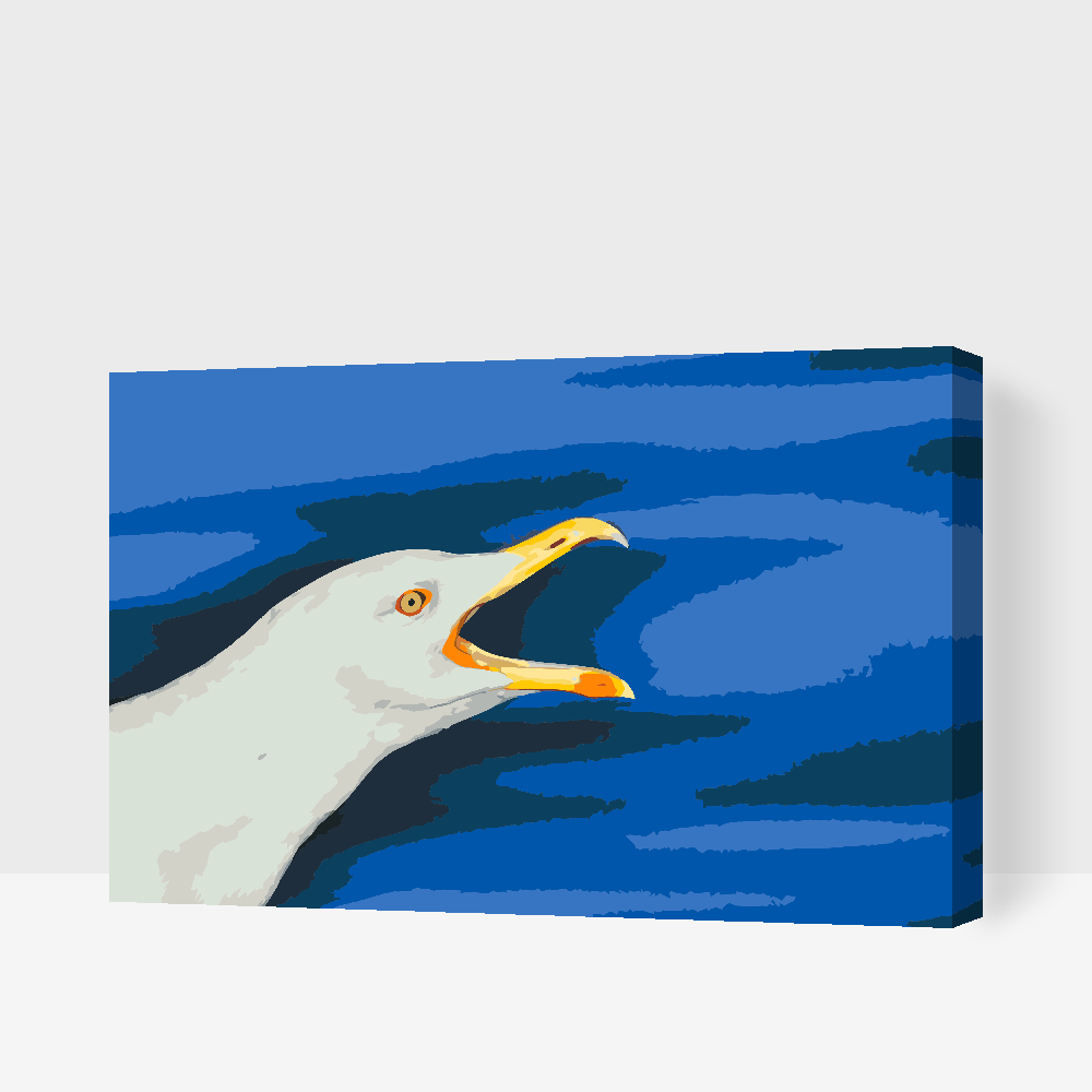 Paint by number - Seagul