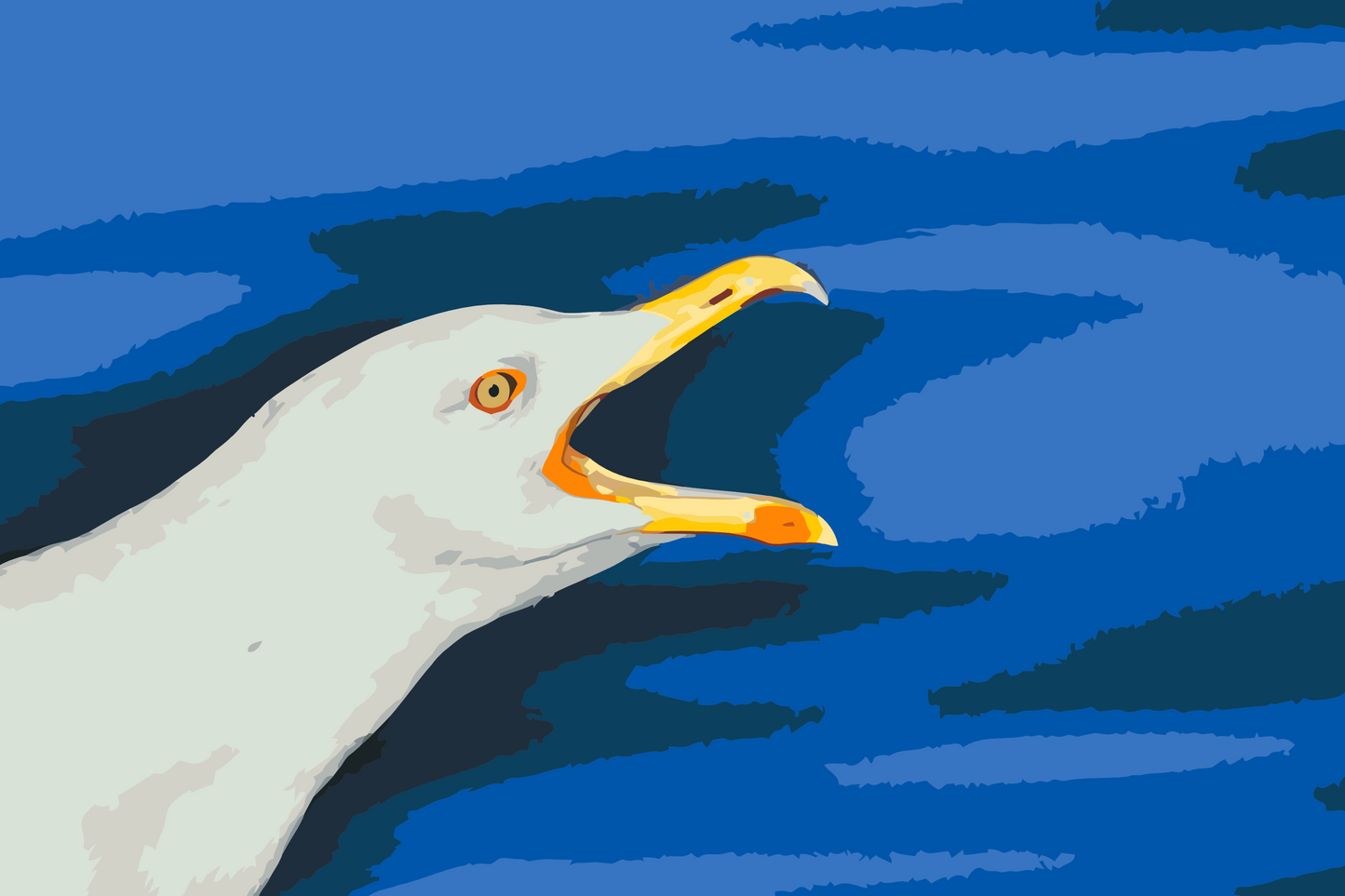 Paint by number - Seagul