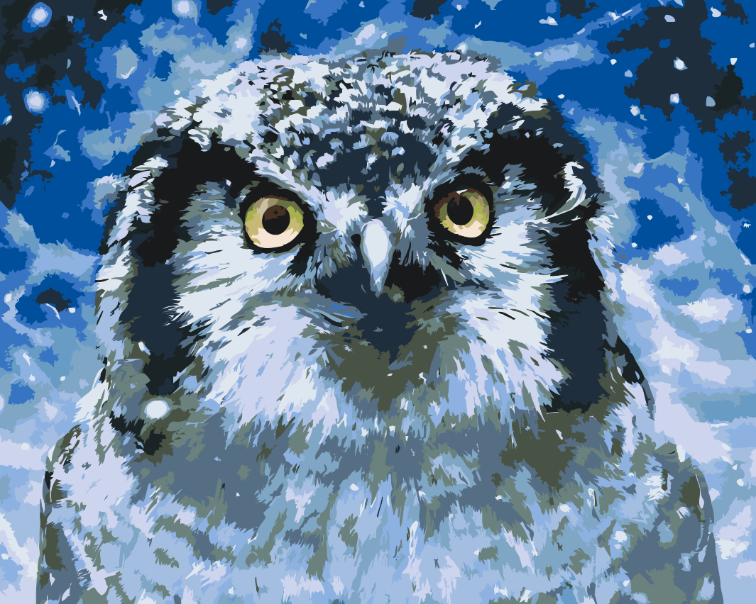 Paint by number - Ugle