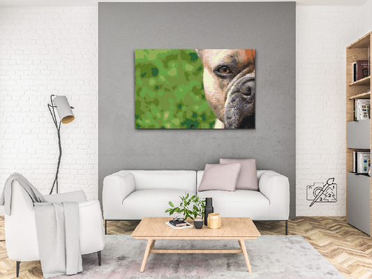 Paint by number - Fransk bulldog i haven