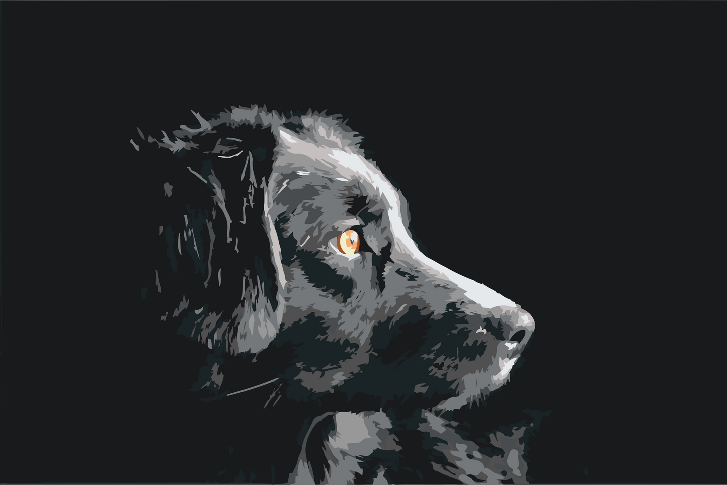 Paint by number - Hundelook