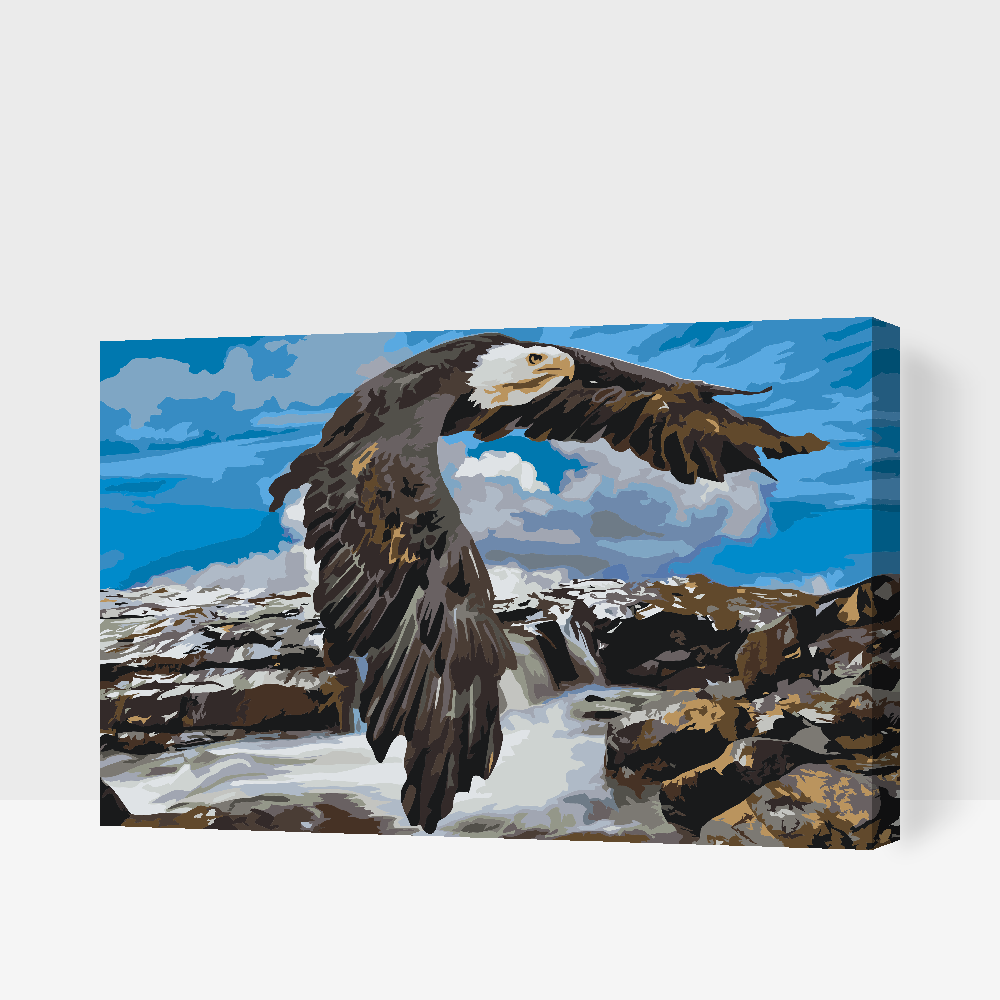 Paint by number - Ørn ved vandfaldet