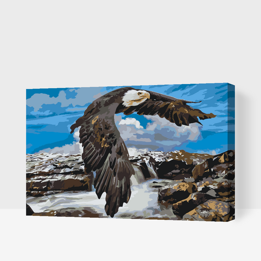 Paint by number - Ørn ved vandfaldet