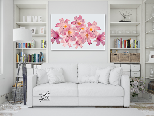 Paint by number - Pink Lilies 2