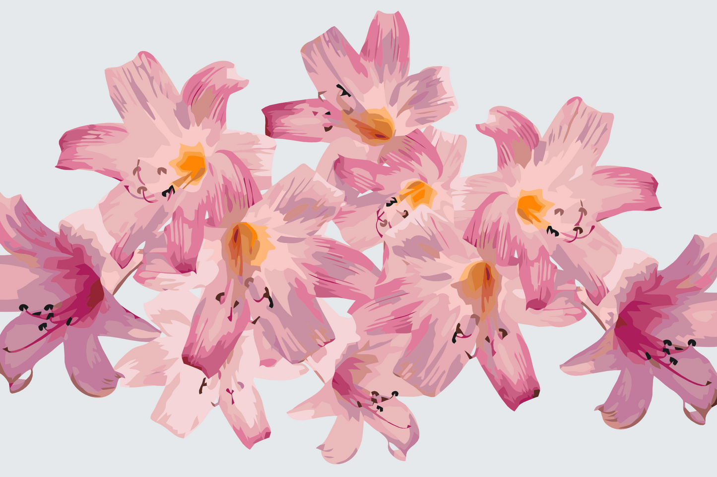 Paint by number - Pink Lilies 2