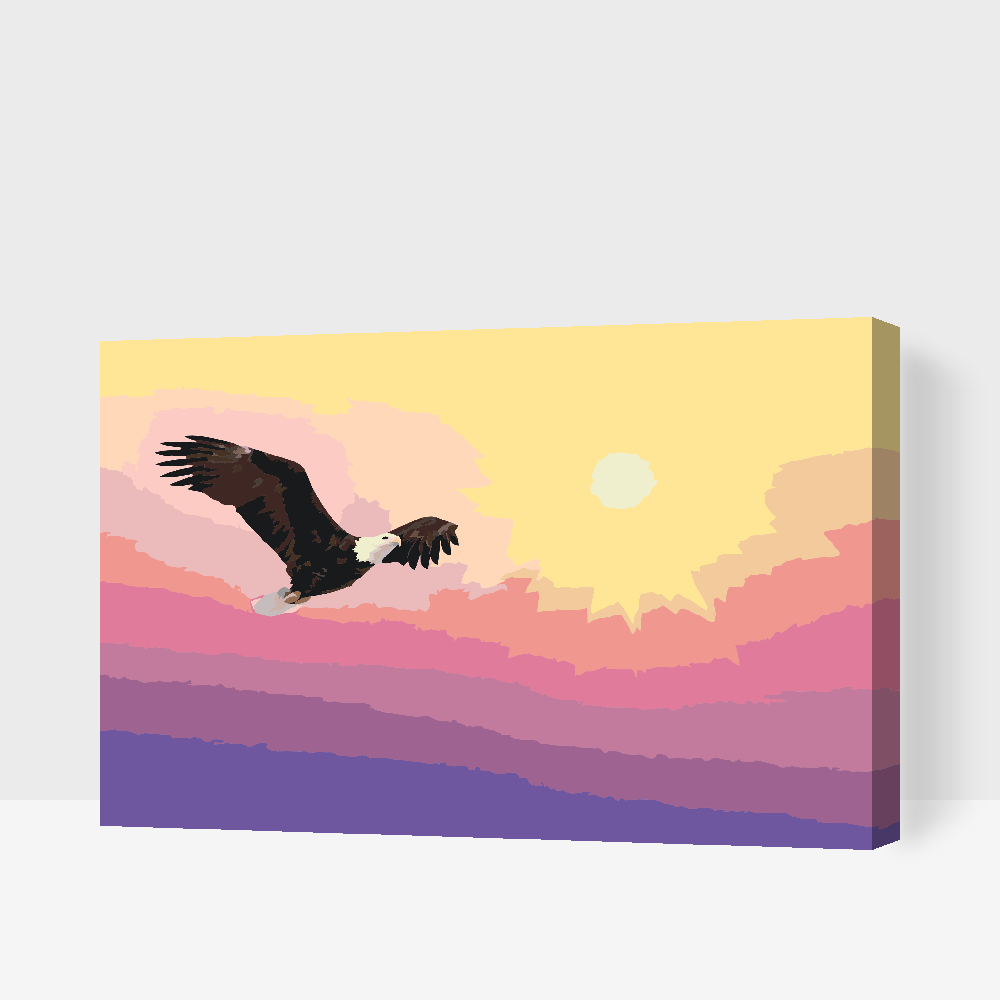 Paint by number - Ørn ved solnedgang
