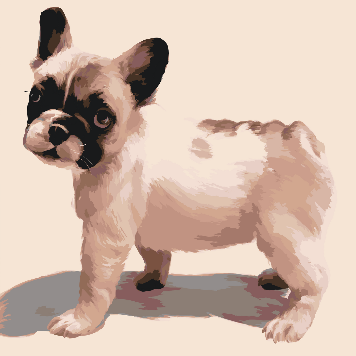 Paint by number - Fransk bulldog
