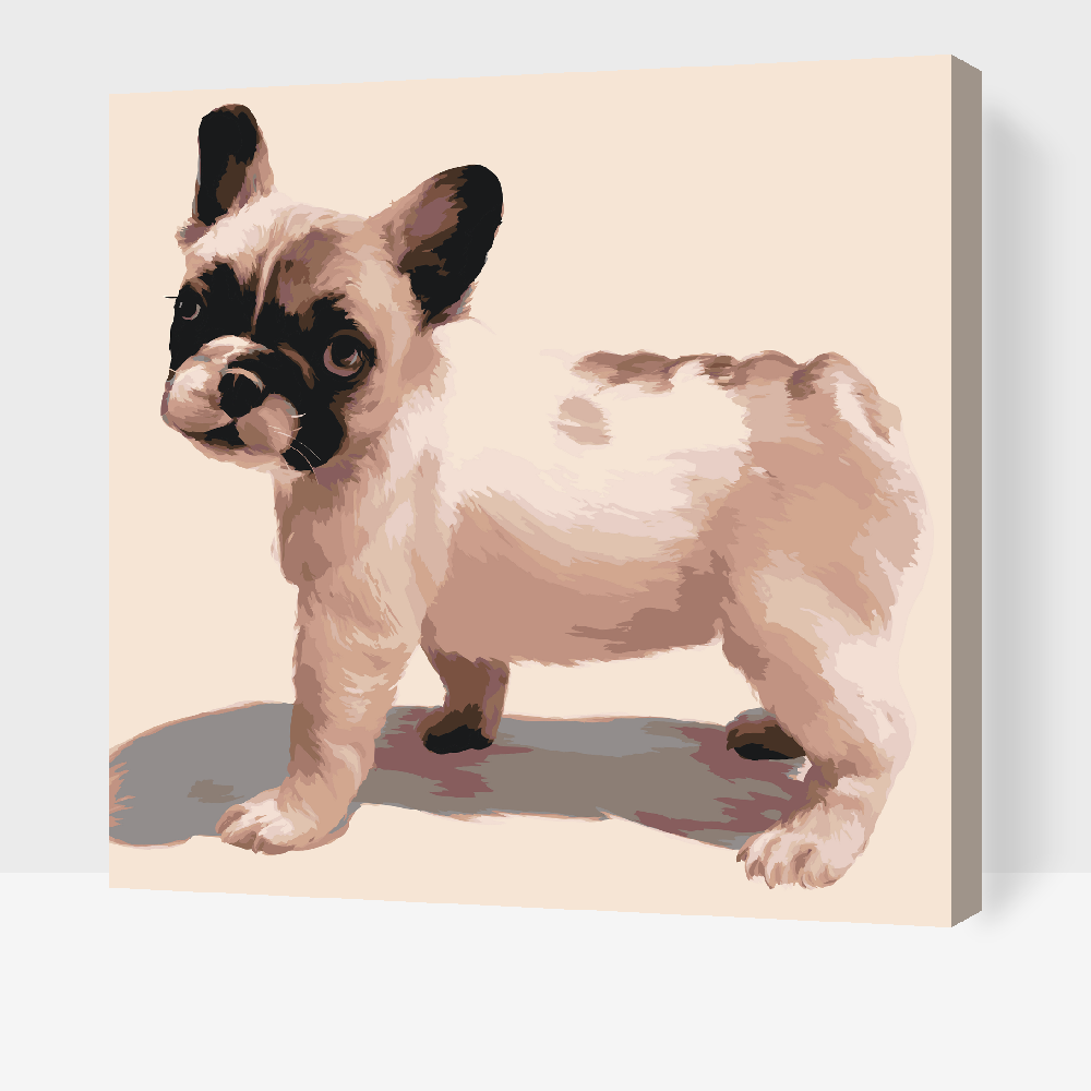 Paint by number - Fransk bulldog