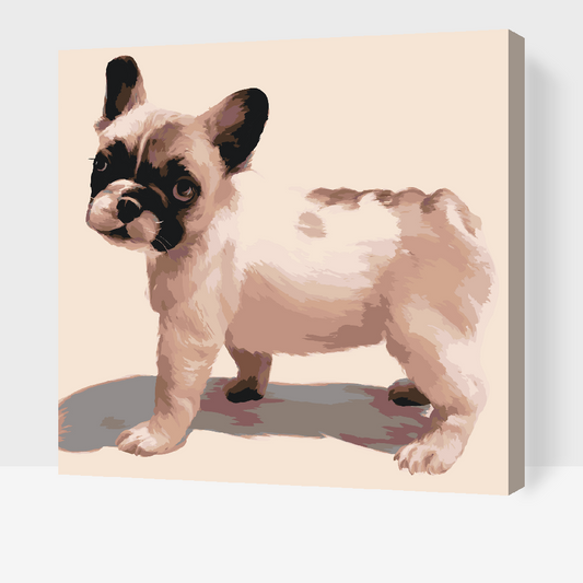 Paint by number - Fransk bulldog