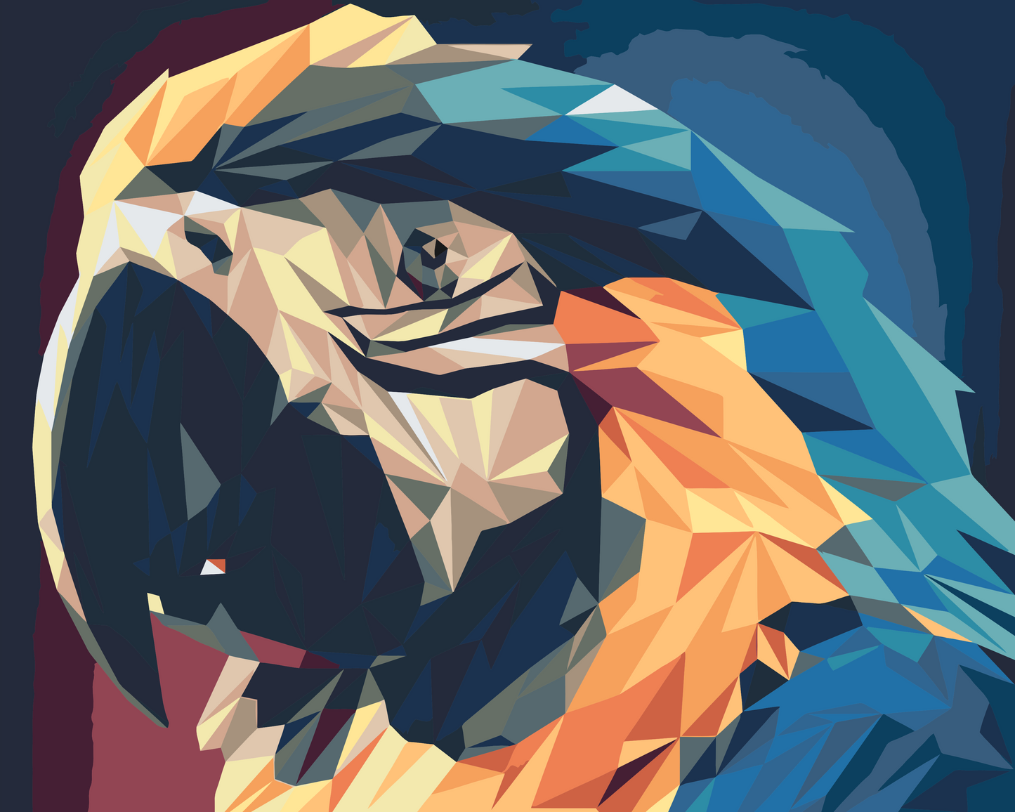 Paint by number - Ara Parrot 2