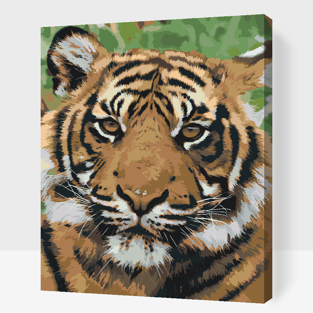 Paint by number - Tiger Head 2