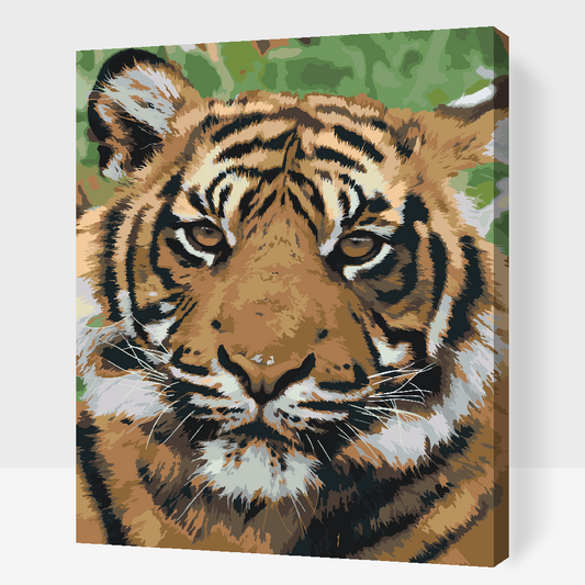 Paint by number - Tiger Head 2