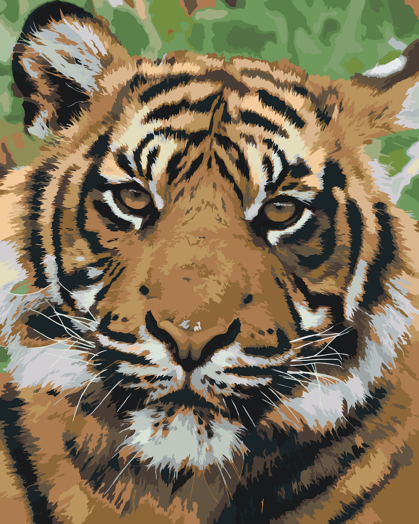 Paint by number - Tiger Head 2