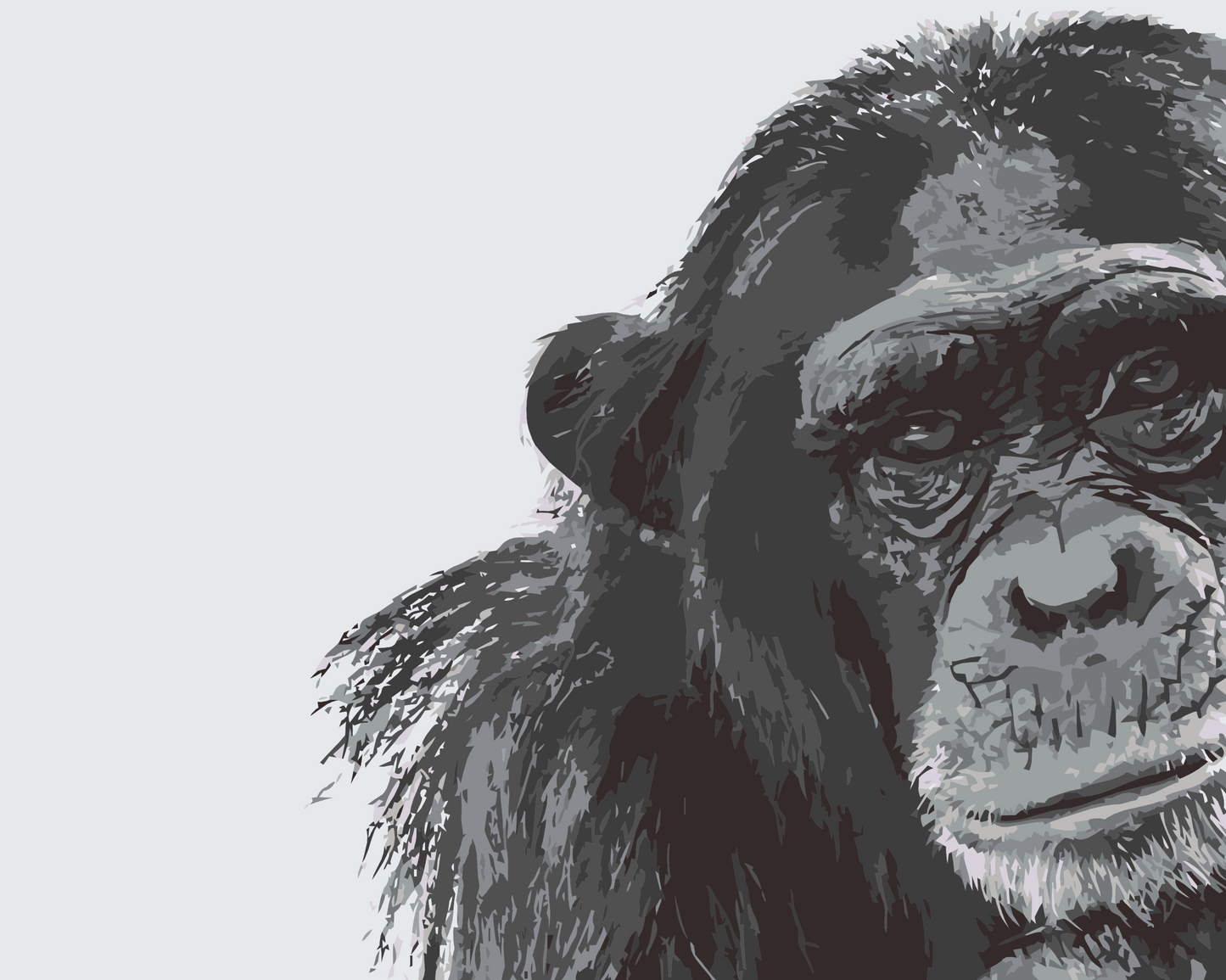 Paint by number - Chimpanse