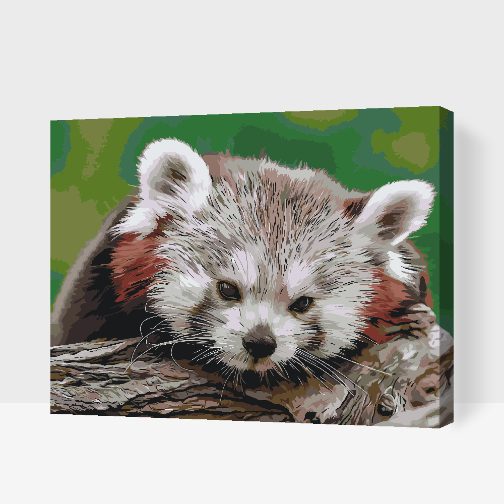 Paint by number - Red Panda