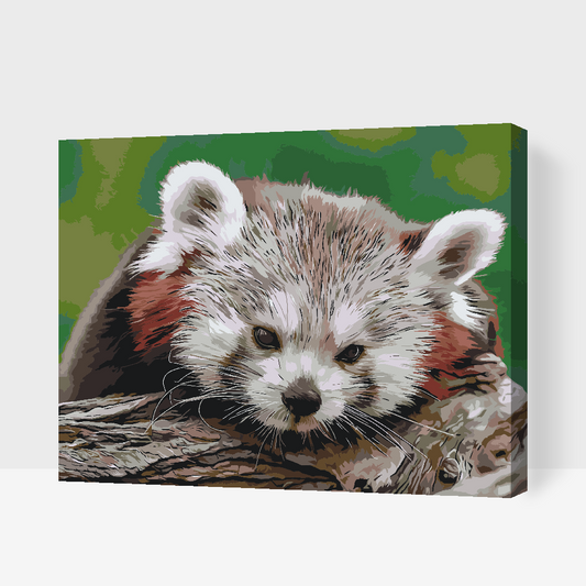 Paint by number - Red Panda