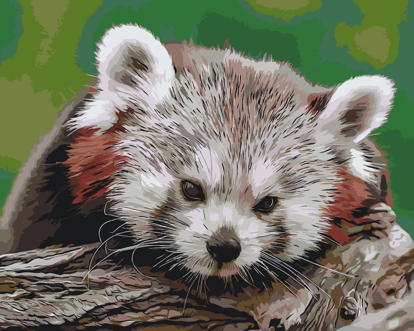 Paint by number - Red Panda
