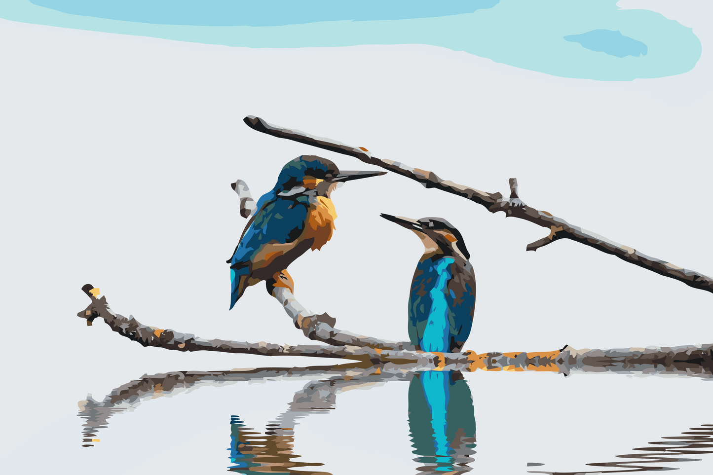 Paint by number - Isfugl ved vandet