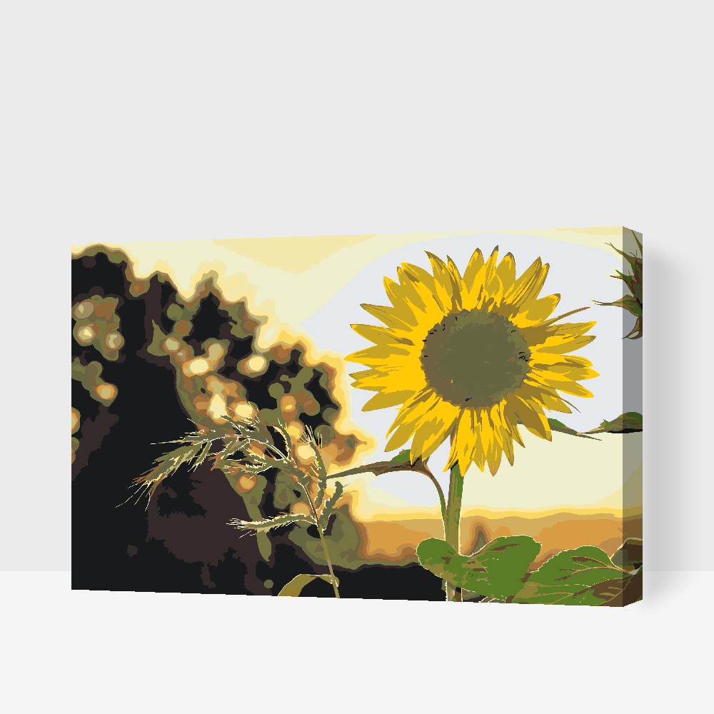 Paint by number - Sangblomster på engen