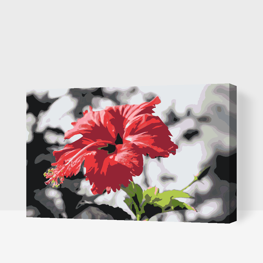 Paint by number - Rød blomst i grå baggrund