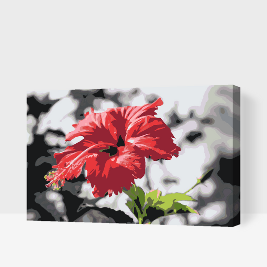 Paint by number - Rød blomst i grå baggrund