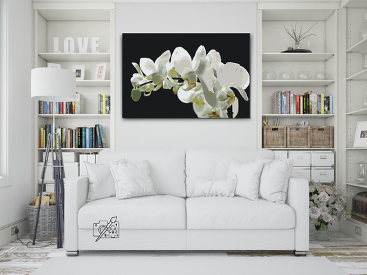 Paint by number - Hvid Orkidé 2