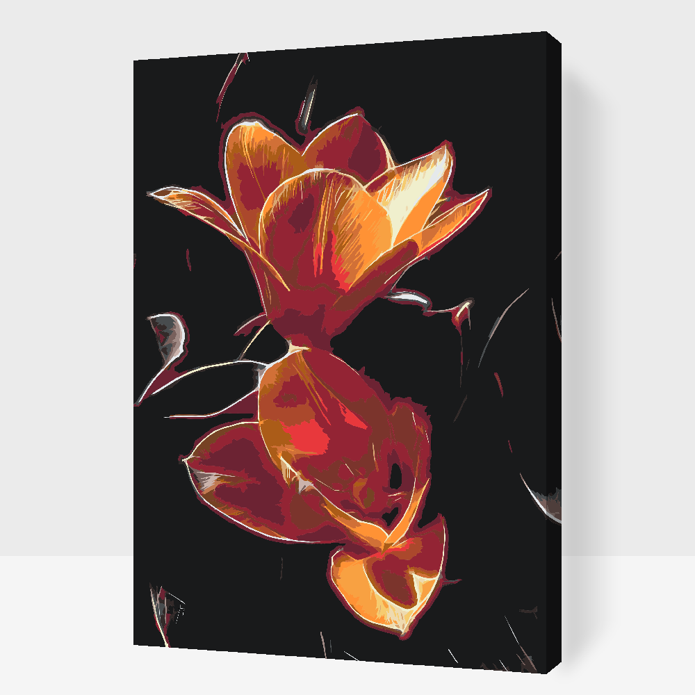Paint by number - Tulipan