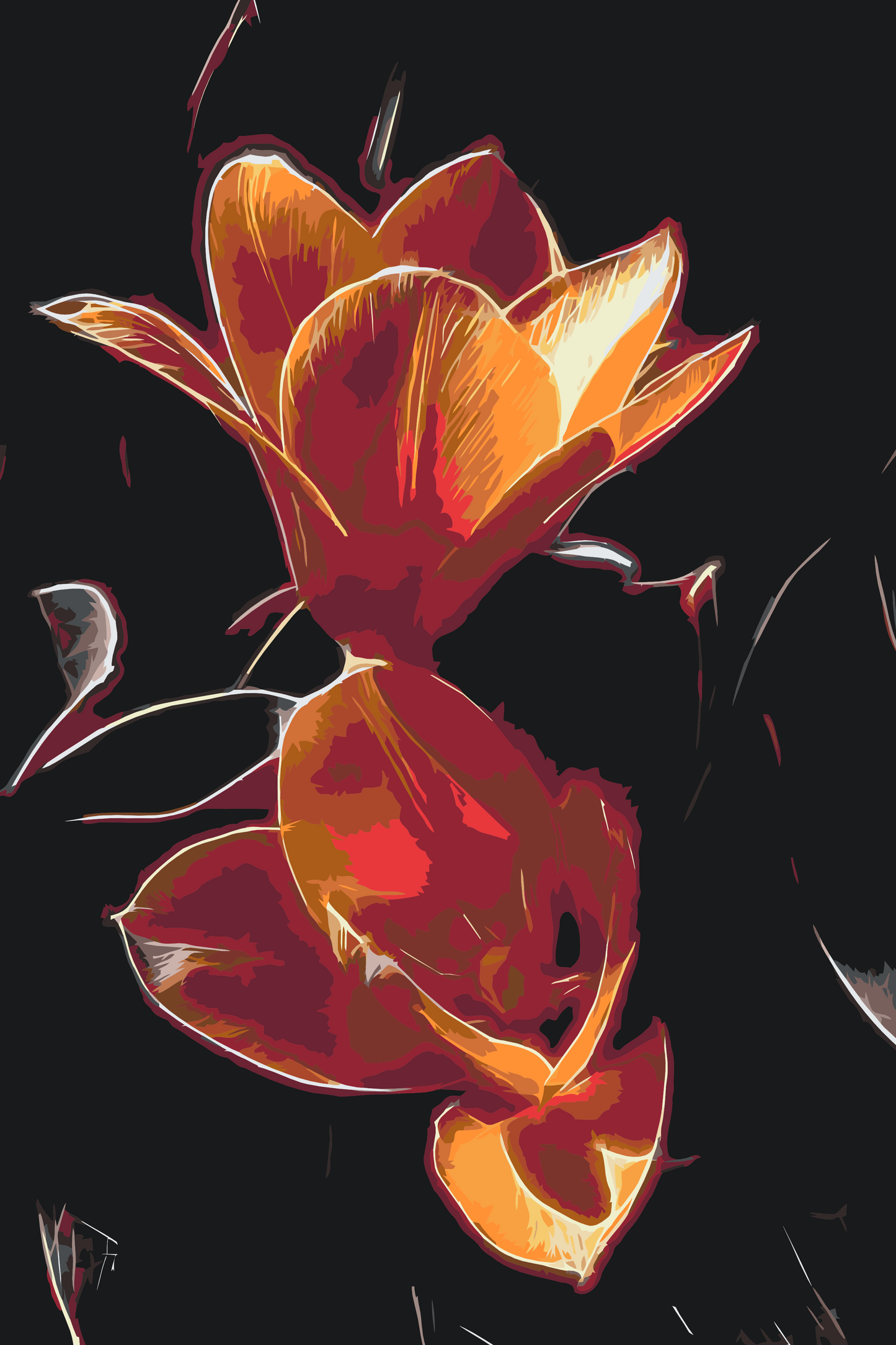 Paint by number - Tulipan