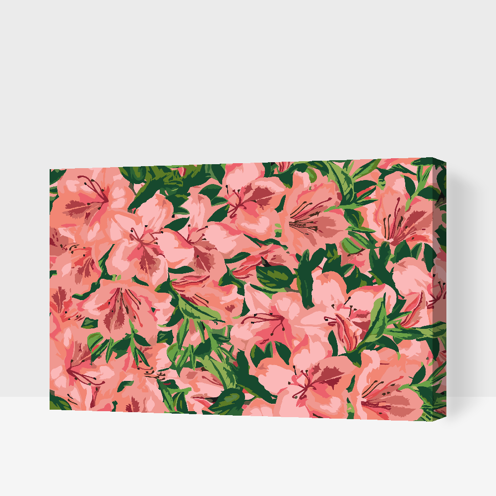 Paint by number - Pink Flowers 2