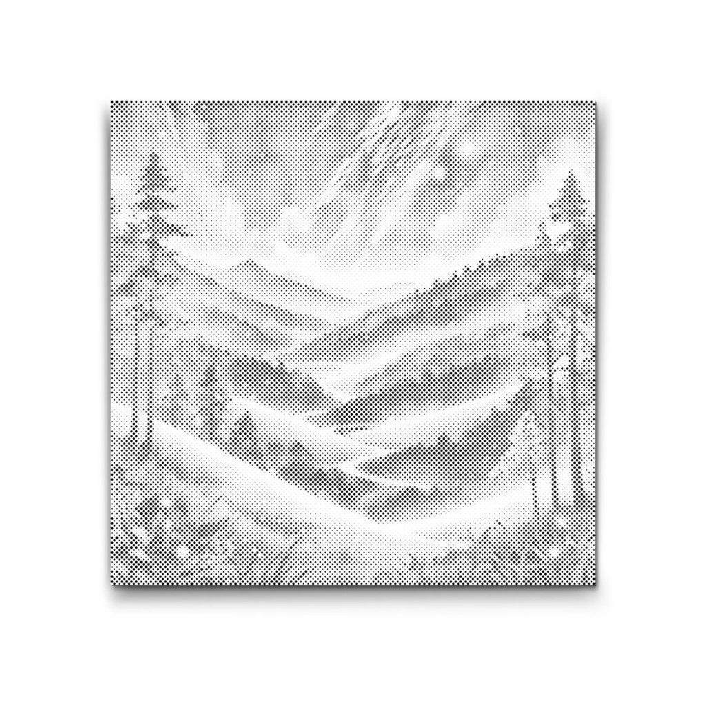 Dotting - Livligt natlandskab 2